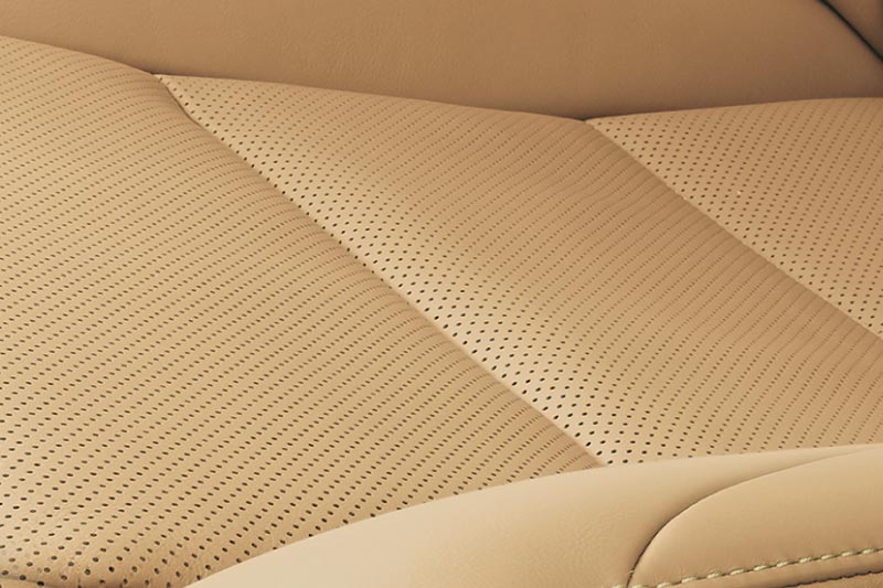 Leather Interior Protection